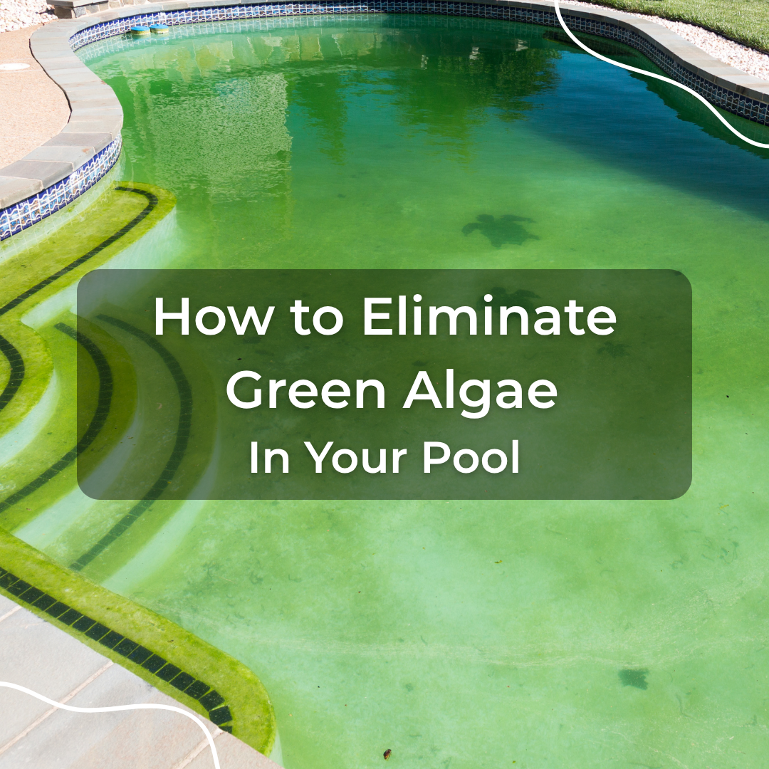 How to Eliminate Green Algae in Your Pool