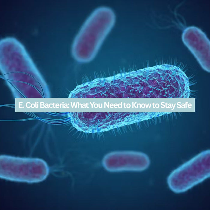 E. Coli Bacteria: What You Need to Know to Stay Safe